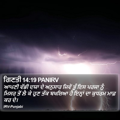 ਗਿਣਤੀ 14:19 PANIRV Bible Verse Image