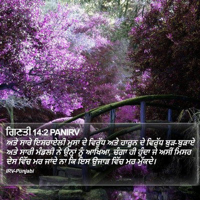 ਗਿਣਤੀ 14:2 PANIRV Bible Verse Image