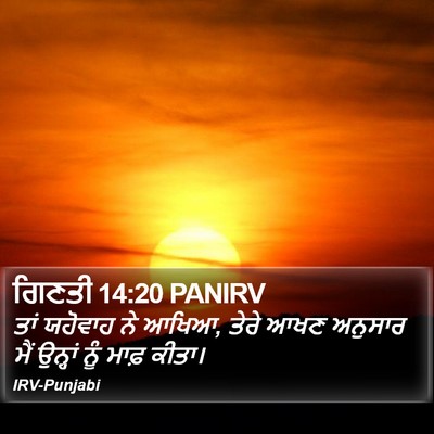 ਗਿਣਤੀ 14:20 PANIRV Bible Verse Image