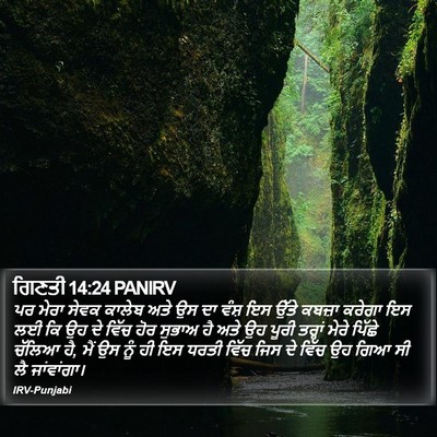 ਗਿਣਤੀ 14:24 PANIRV Bible Verse Image