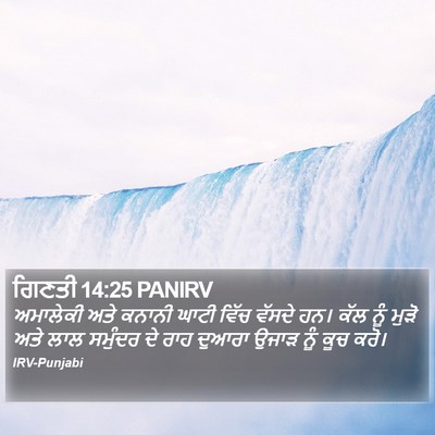 ਗਿਣਤੀ 14:25 PANIRV Bible Verse Image