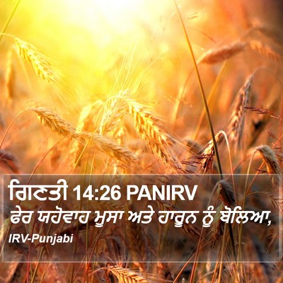 ਗਿਣਤੀ 14:26 PANIRV Bible Verse Image