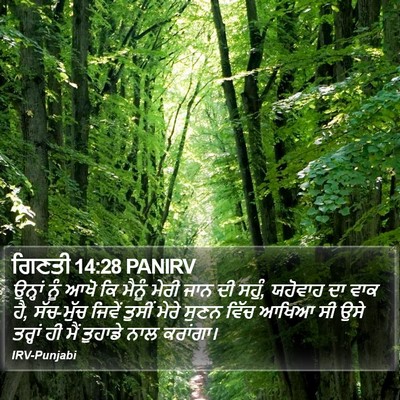 ਗਿਣਤੀ 14:28 PANIRV Bible Verse Image