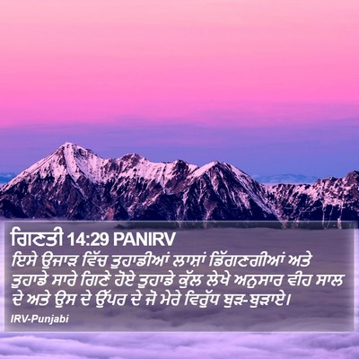 ਗਿਣਤੀ 14:29 PANIRV Bible Verse Image