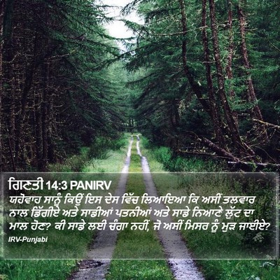 ਗਿਣਤੀ 14:3 PANIRV Bible Verse Image