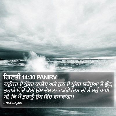 ਗਿਣਤੀ 14:30 PANIRV Bible Verse Image