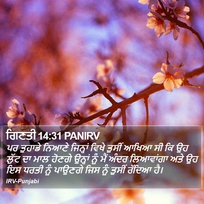 ਗਿਣਤੀ 14:31 PANIRV Bible Verse Image
