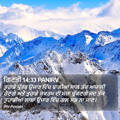 ਗਿਣਤੀ 14:33 PANIRV Bible Verse Image