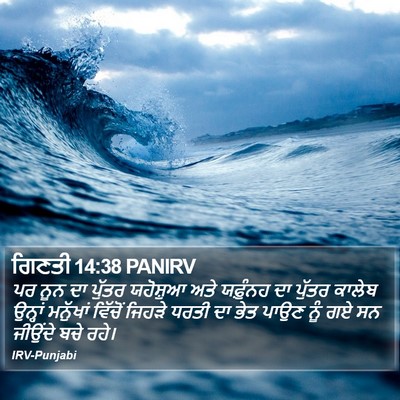 ਗਿਣਤੀ 14:38 PANIRV Bible Verse Image