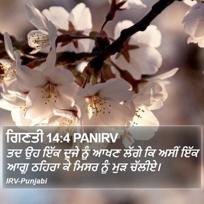 ਗਿਣਤੀ 14:4 PANIRV Bible Verse Image