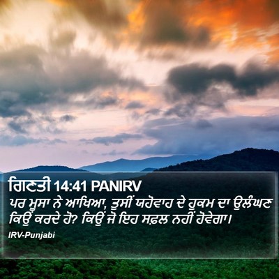 ਗਿਣਤੀ 14:41 PANIRV Bible Verse Image