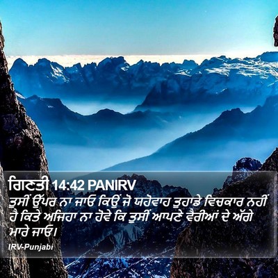 ਗਿਣਤੀ 14:42 PANIRV Bible Verse Image