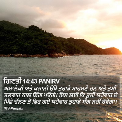 ਗਿਣਤੀ 14:43 PANIRV Bible Verse Image