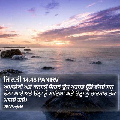 ਗਿਣਤੀ 14:45 PANIRV Bible Verse Image