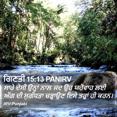 ਗਿਣਤੀ 15:13 PANIRV Bible Verse Image