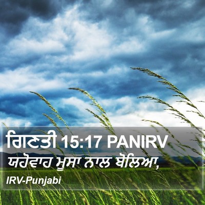ਗਿਣਤੀ 15:17 PANIRV Bible Verse Image