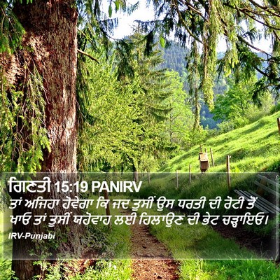 ਗਿਣਤੀ 15:19 PANIRV Bible Verse Image