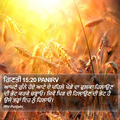 ਗਿਣਤੀ 15:20 PANIRV Bible Verse Image