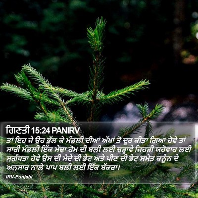 ਗਿਣਤੀ 15:24 PANIRV Bible Verse Image