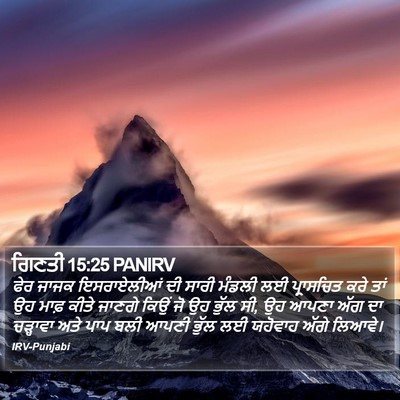 ਗਿਣਤੀ 15:25 PANIRV Bible Verse Image