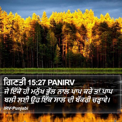 ਗਿਣਤੀ 15:27 PANIRV Bible Verse Image