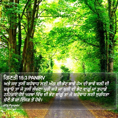 ਗਿਣਤੀ 15:3 PANIRV Bible Verse Image