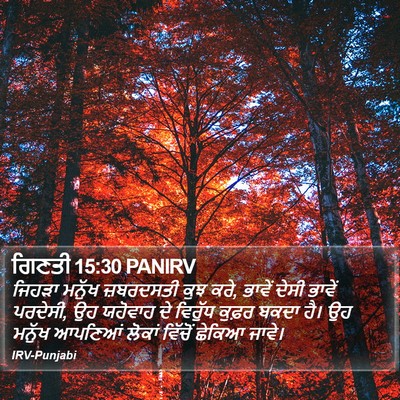 ਗਿਣਤੀ 15:30 PANIRV Bible Verse Image