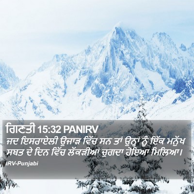 ਗਿਣਤੀ 15:32 PANIRV Bible Verse Image