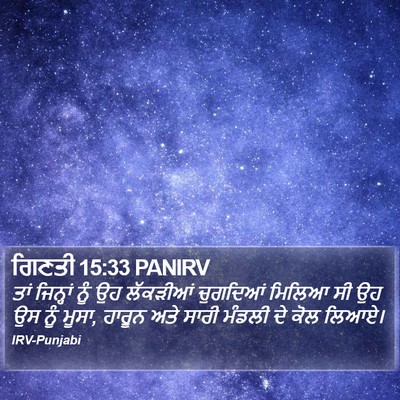 ਗਿਣਤੀ 15:33 PANIRV Bible Verse Image