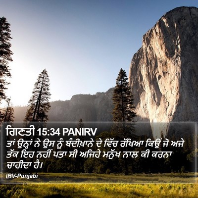 ਗਿਣਤੀ 15:34 PANIRV Bible Verse Image