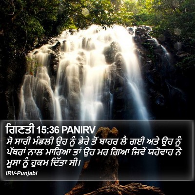 ਗਿਣਤੀ 15:36 PANIRV Bible Verse Image