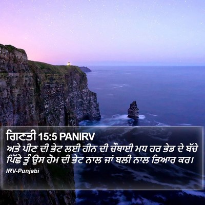 ਗਿਣਤੀ 15:5 PANIRV Bible Verse Image