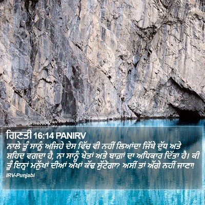 ਗਿਣਤੀ 16:14 PANIRV Bible Verse Image