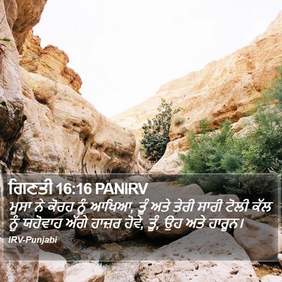 ਗਿਣਤੀ 16:16 PANIRV Bible Verse Image