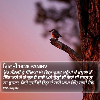 ਗਿਣਤੀ 16:26 PANIRV Bible Verse Image