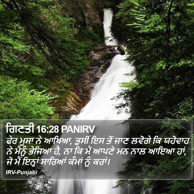 ਗਿਣਤੀ 16:28 PANIRV Bible Verse Image