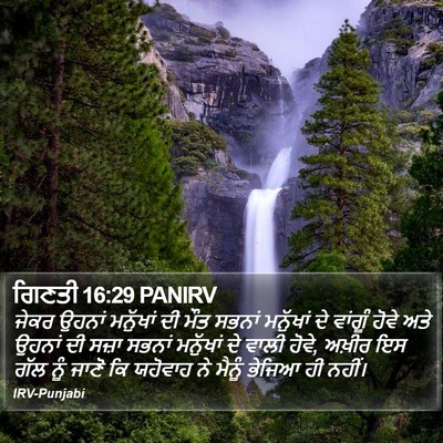 ਗਿਣਤੀ 16:29 PANIRV Bible Verse Image