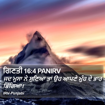 ਗਿਣਤੀ 16:4 PANIRV Bible Verse Image