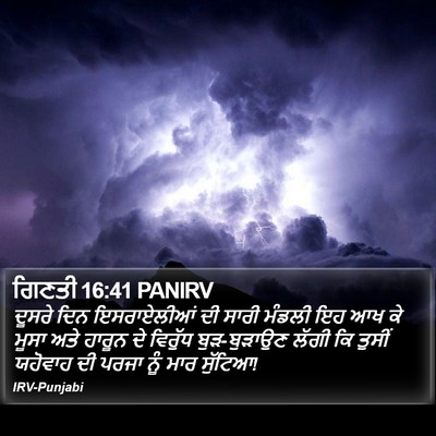 ਗਿਣਤੀ 16:41 PANIRV Bible Verse Image