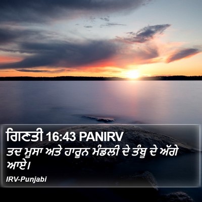 ਗਿਣਤੀ 16:43 PANIRV Bible Verse Image