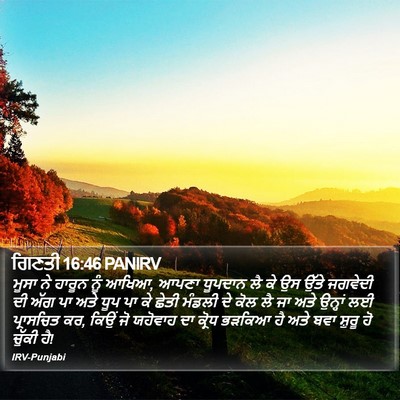 ਗਿਣਤੀ 16:46 PANIRV Bible Verse Image