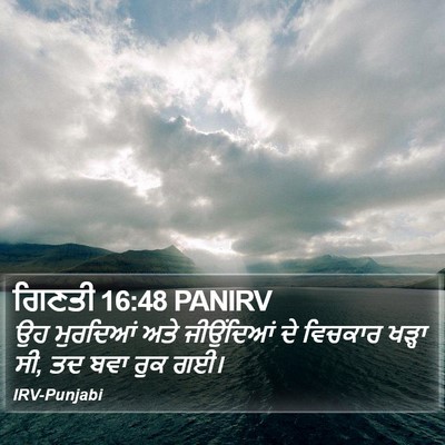ਗਿਣਤੀ 16:48 PANIRV Bible Verse Image