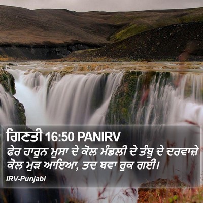 ਗਿਣਤੀ 16:50 PANIRV Bible Verse Image
