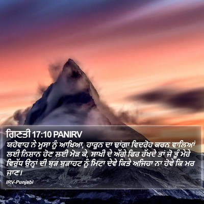 ਗਿਣਤੀ 17:10 PANIRV Bible Verse Image