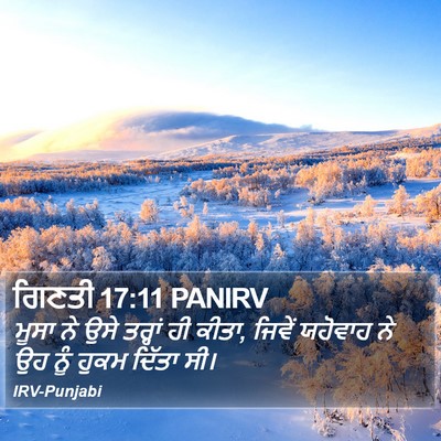 ਗਿਣਤੀ 17:11 PANIRV Bible Verse Image