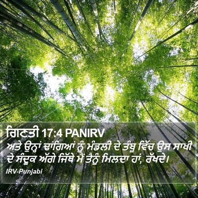 ਗਿਣਤੀ 17:4 PANIRV Bible Verse Image