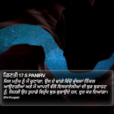 ਗਿਣਤੀ 17:5 PANIRV Bible Verse Image