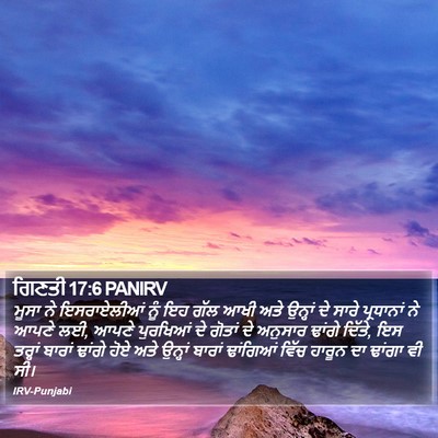 ਗਿਣਤੀ 17:6 PANIRV Bible Verse Image