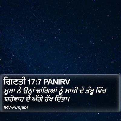 ਗਿਣਤੀ 17:7 PANIRV Bible Verse Image