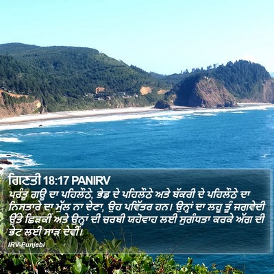 ਗਿਣਤੀ 18:17 PANIRV Bible Verse Image